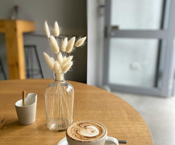 Paws & Pour-Overs: Blue Tokai Ballygunge Is a Pet Lover’s Brew Haven